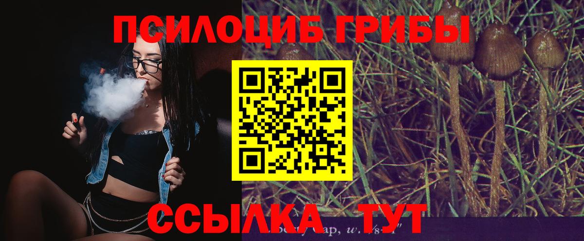 Галлюциногенные грибы Cubensis  Вход с VPN  Железноводск 